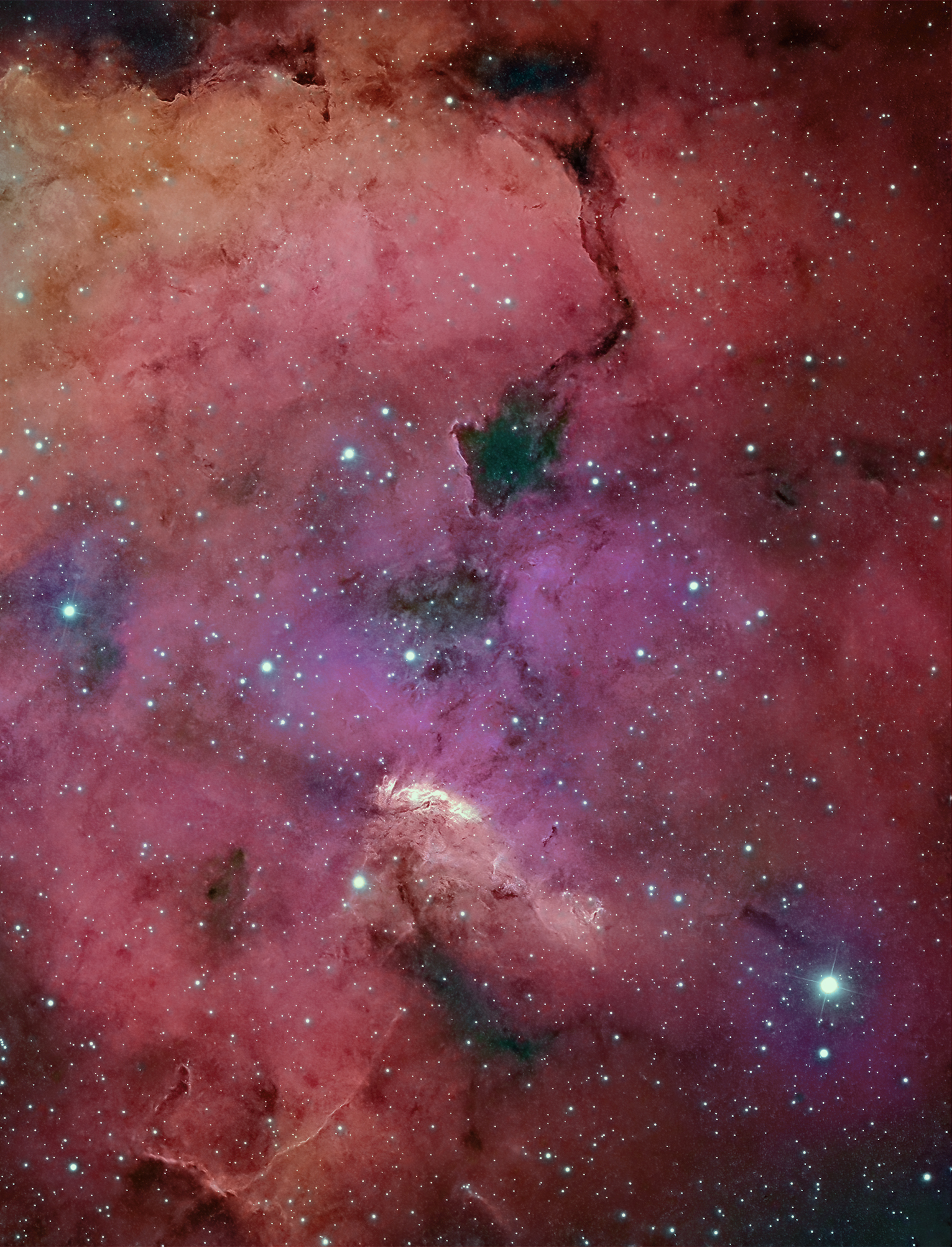 Gum 51