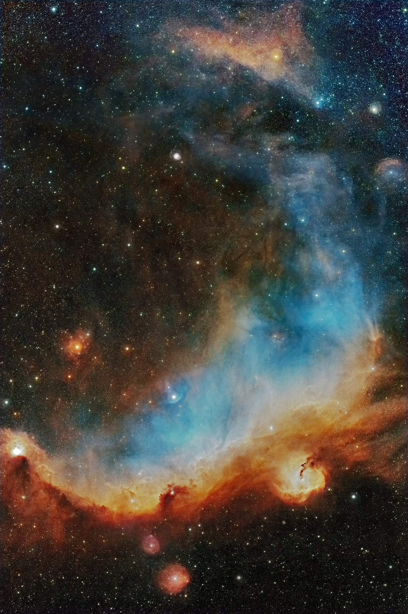 The Seagull Nebula