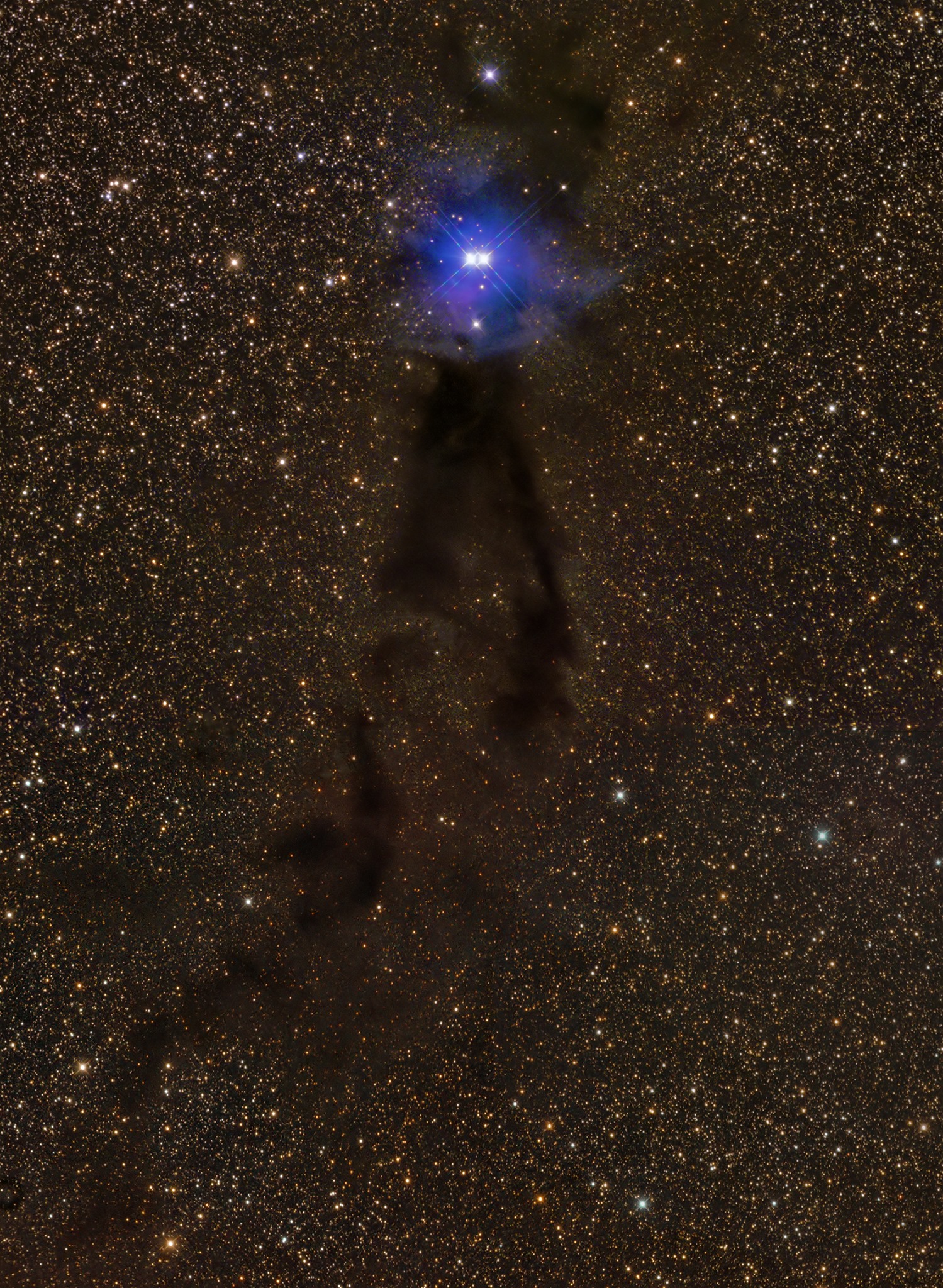 Lupus 3