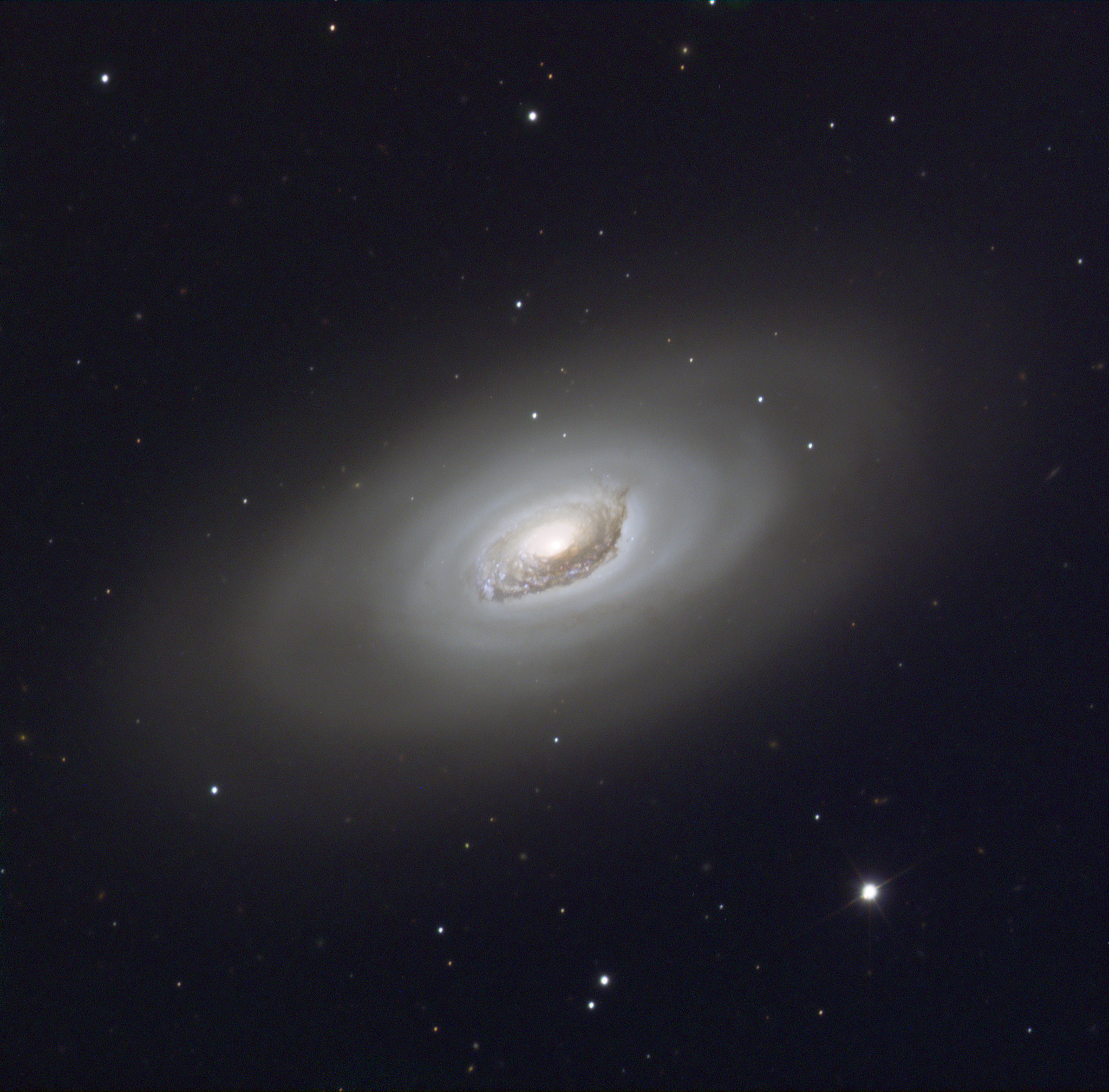 m64