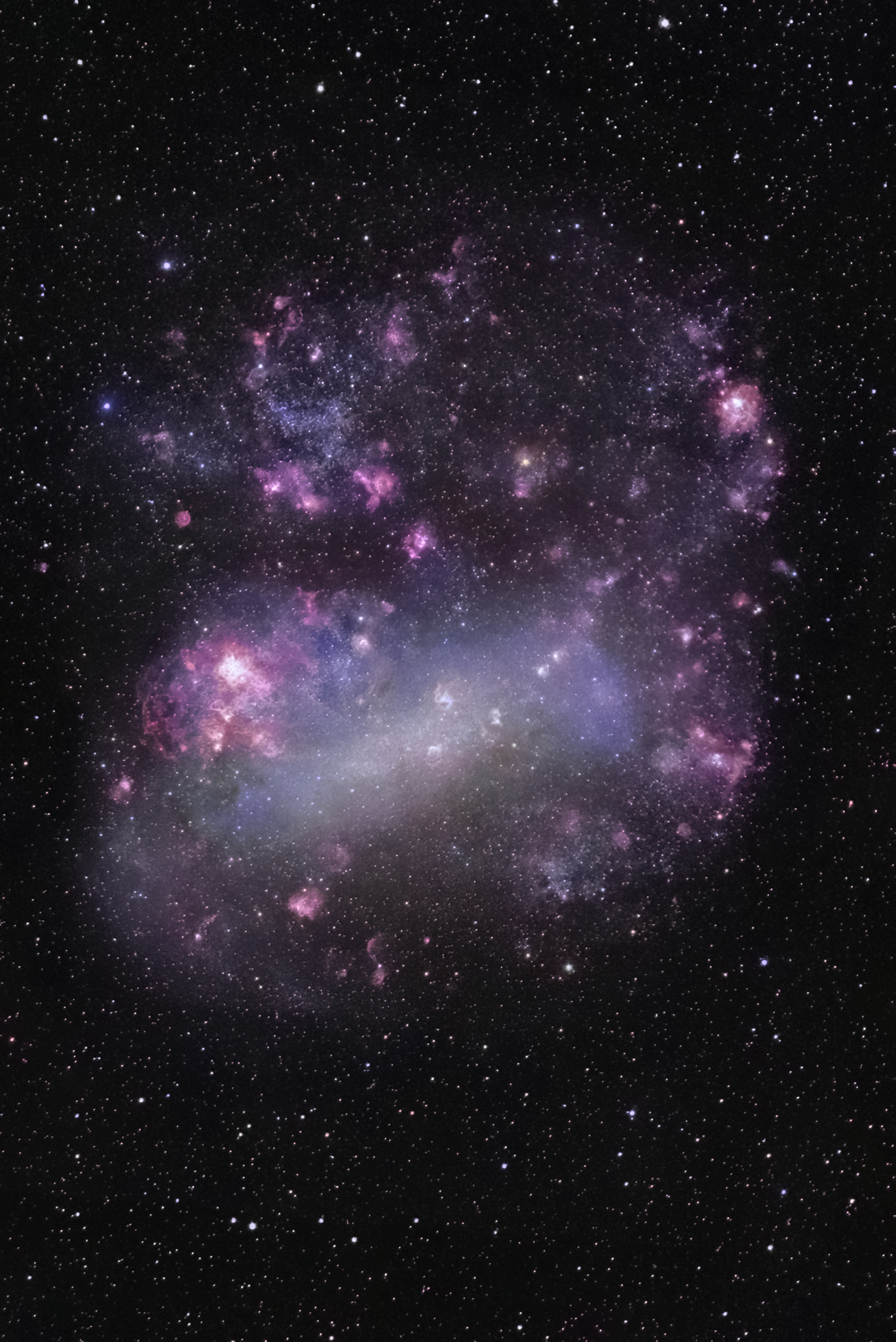 The Large Magellanic Cloud