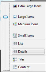 View Selection List